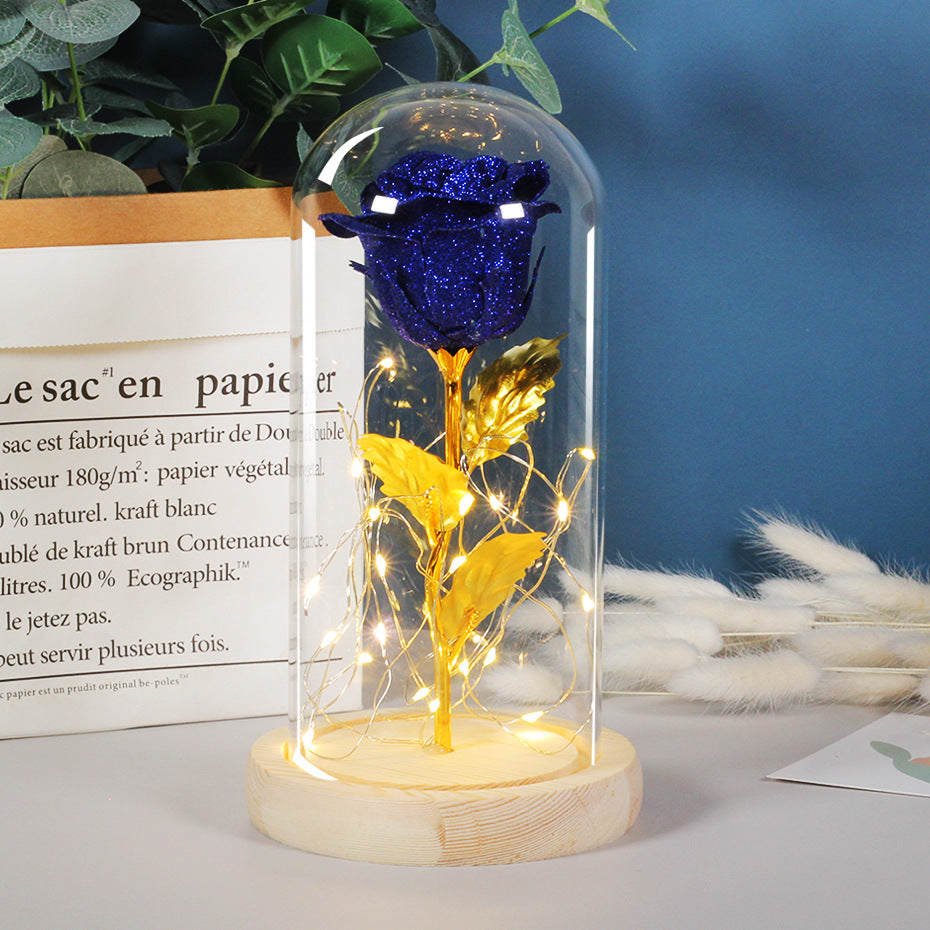 Mothers Day Gift Enchanted Forever Rose Flower In LED Glass Case