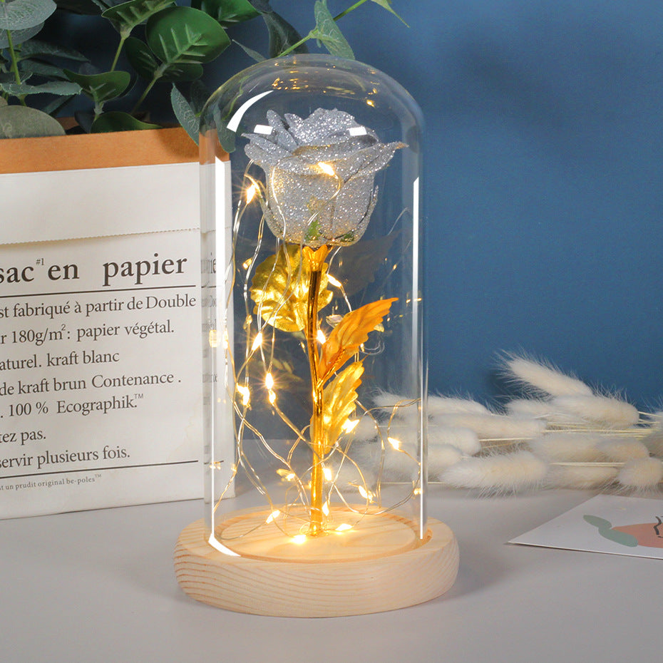 Mothers Day Gift Enchanted Forever Rose Flower In LED Glass Case