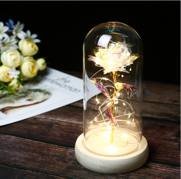 Mothers Day Gift Enchanted Forever Rose Flower In LED Glass Case