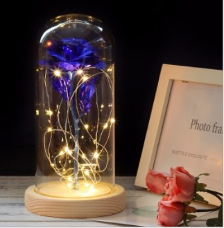 Mothers Day Gift Enchanted Forever Rose Flower In LED Glass Case