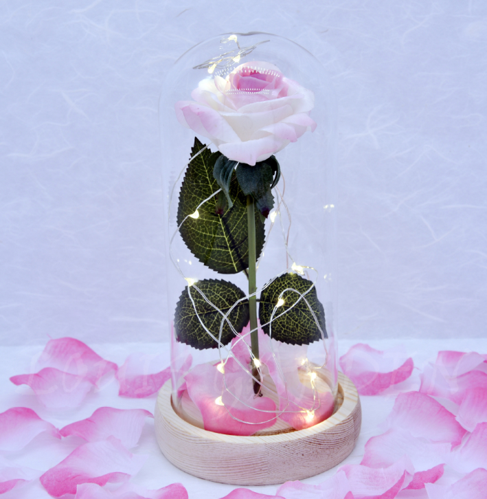 Mothers Day Gift Enchanted Forever Rose Flower In LED Glass Case