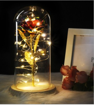 Mothers Day Gift Enchanted Forever Rose Flower In LED Glass Case