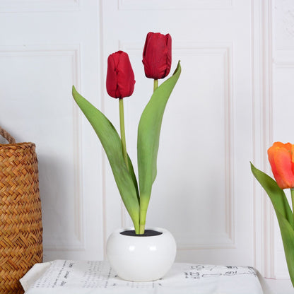 Tulip Flower Night Light